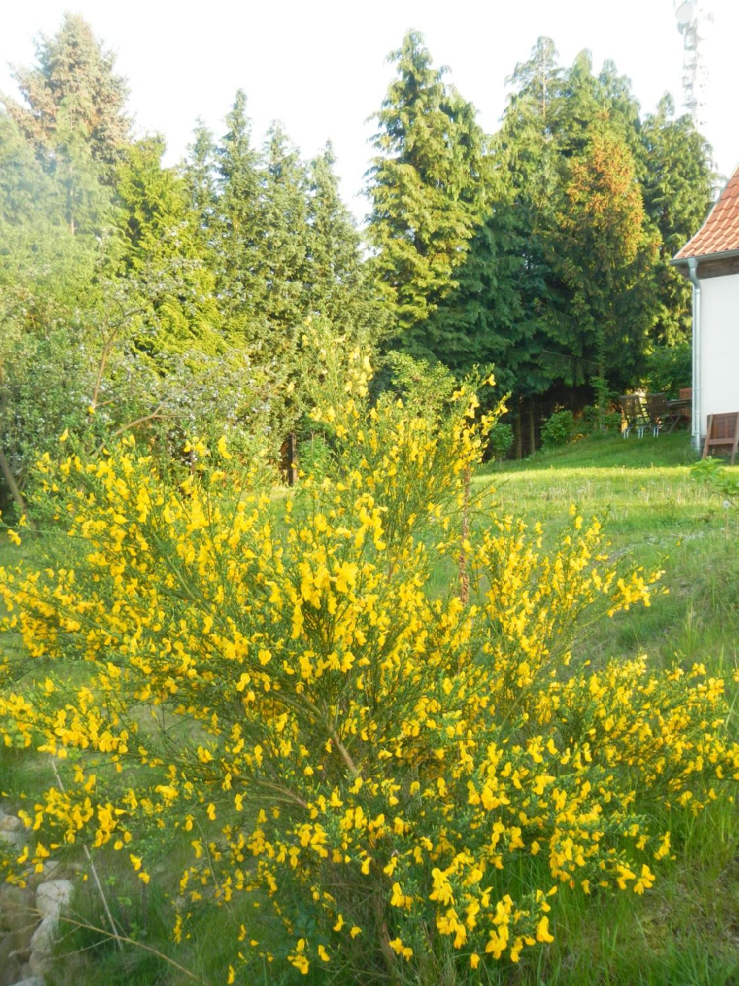 Ferienlandhaus Zempow Kültér fotó