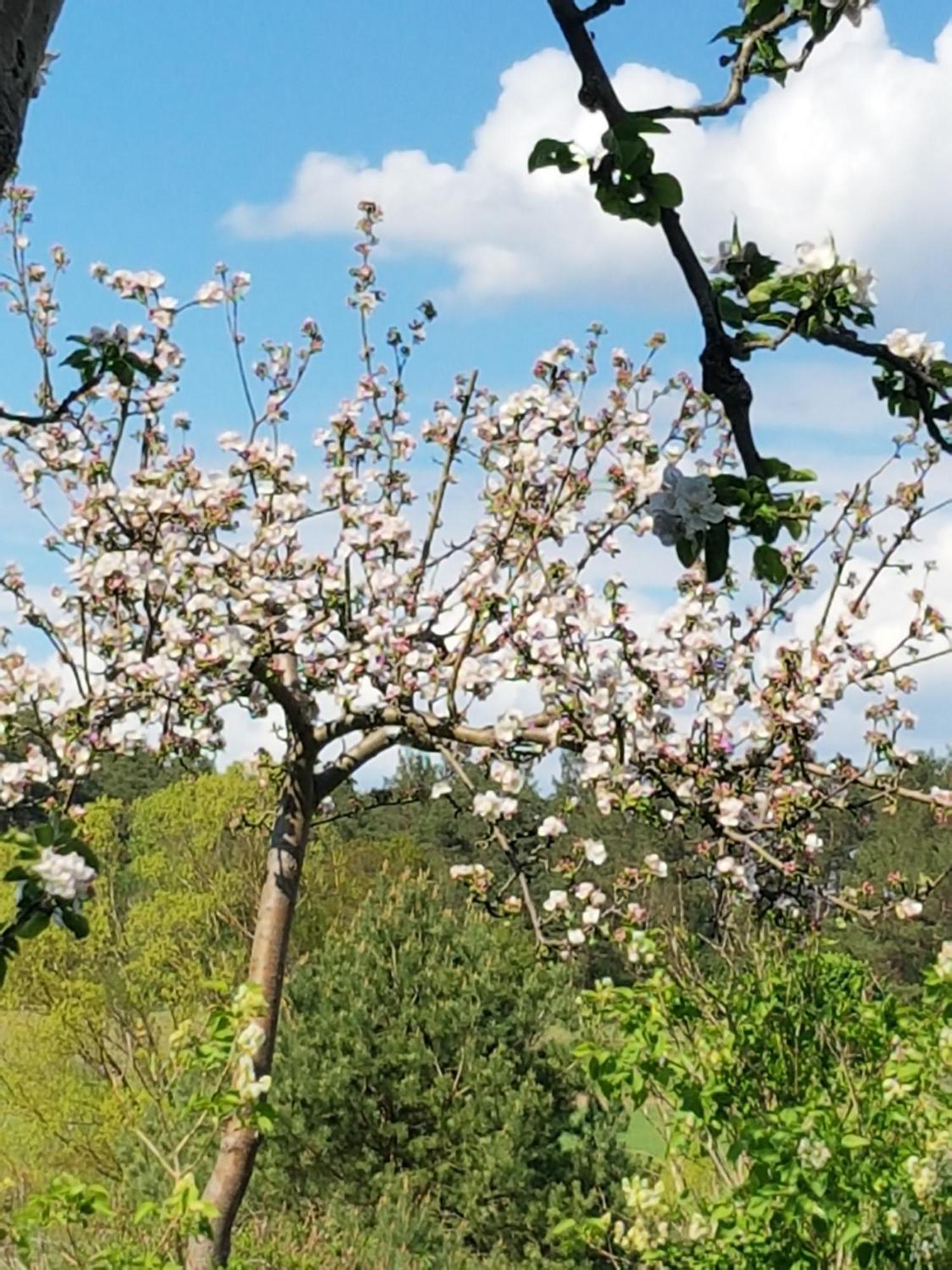 Ferienlandhaus Zempow Kültér fotó