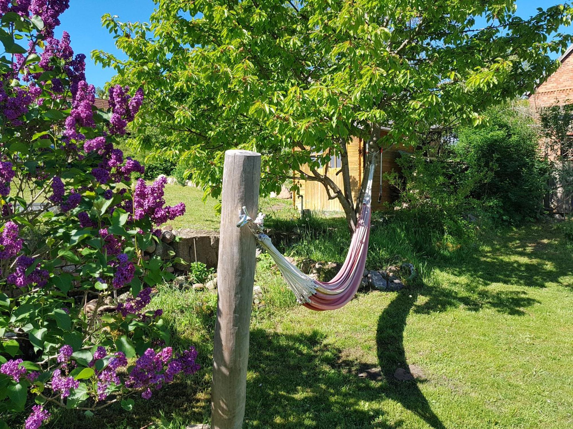 Ferienlandhaus Zempow Kültér fotó