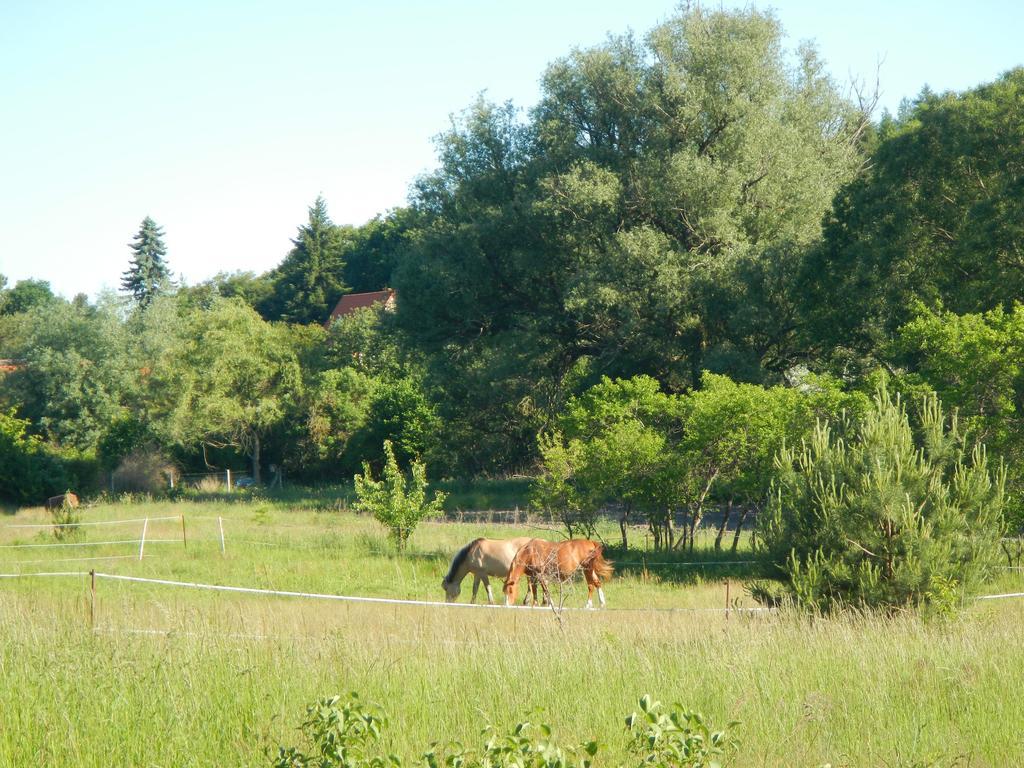 Ferienlandhaus Zempow Kültér fotó